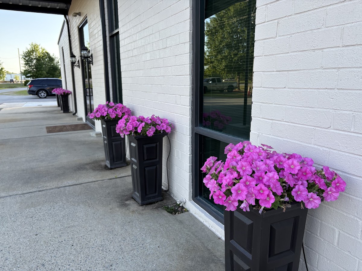 Porch planters full of pink petunias