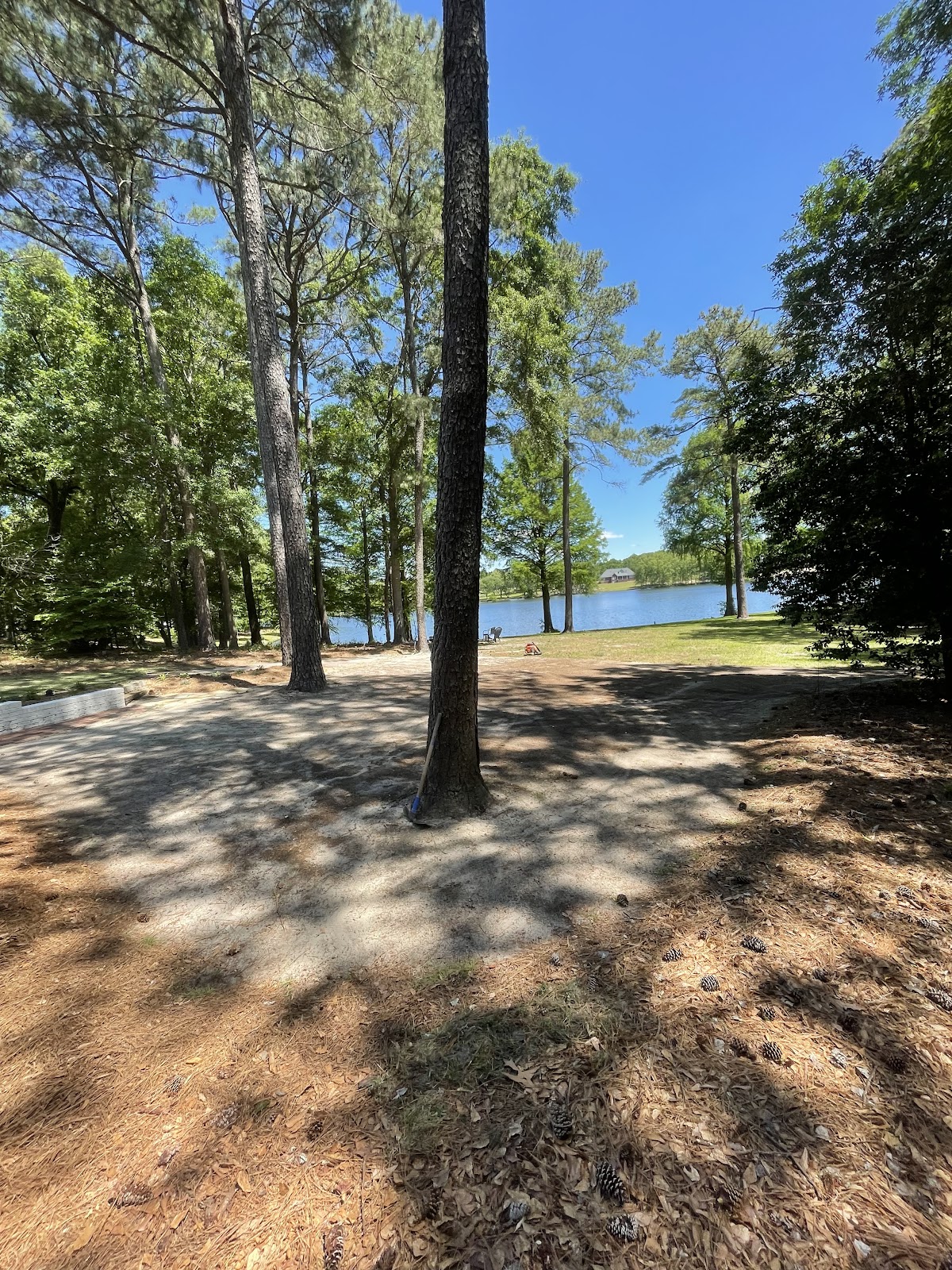 Cleared wooded lot beside a lake